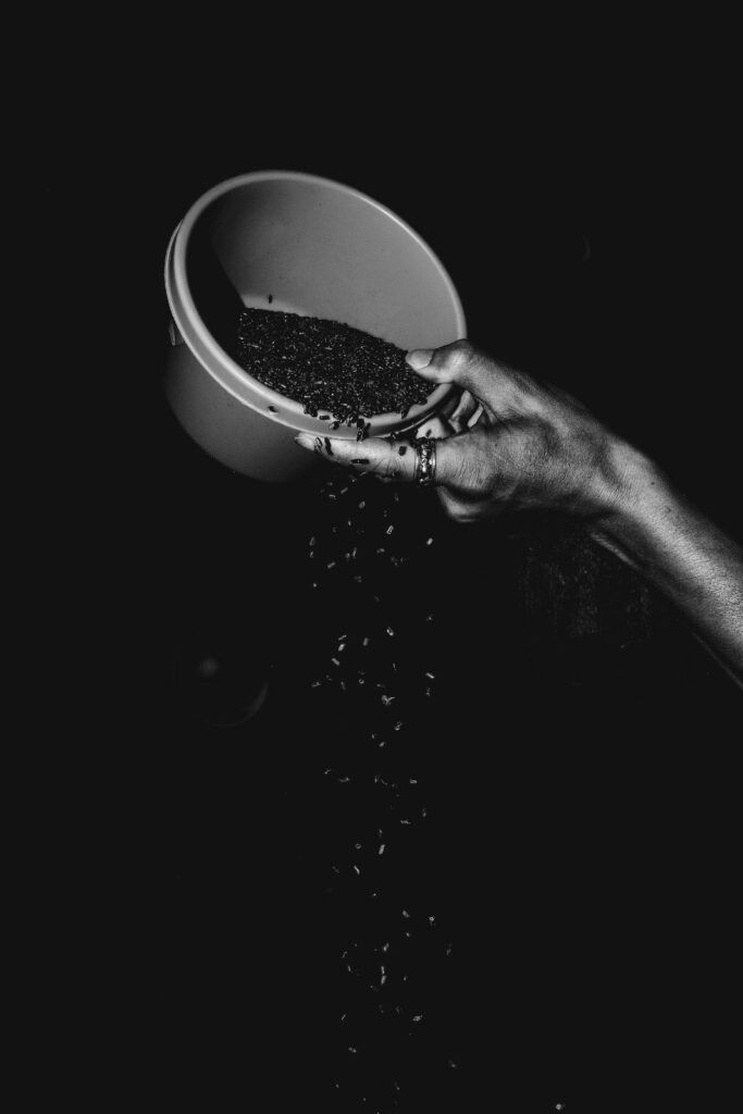 Nigella seeds being dropped from a big bowl