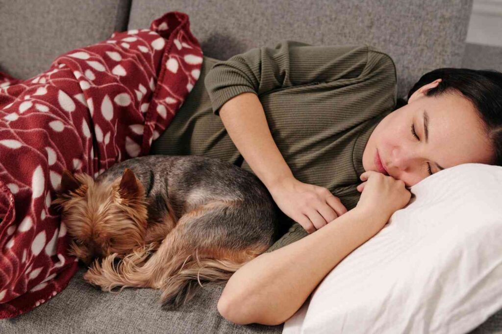 A person taking a brief nap on a couch.